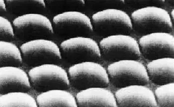 Рис 526 Структура ПЗСматрицы с микролинзами фотография сделана электронным - фото 137
