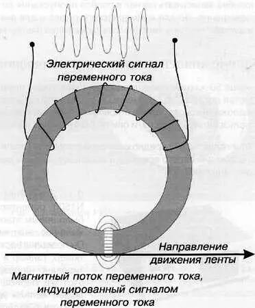 Рис 81 Принцип магнитной записи Ранние концепции видеомагнитофонов В конце - фото 238