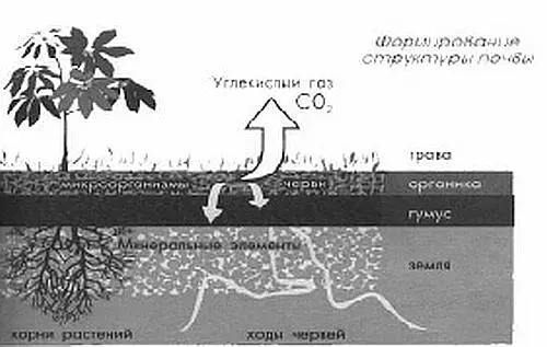 Но и это еще не все Вас не удивляет тот факт что в условиях засухи 2010 г на - фото 7