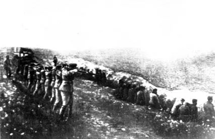 Нацисты расстреливают советских мирных жителей Бабий Яр Эсэсовцы роются в - фото 544