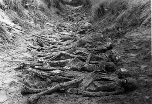 Истлевшие тела евреев жителей Киева расстрелянных в овраге Бабий Яр 1943 - фото 546