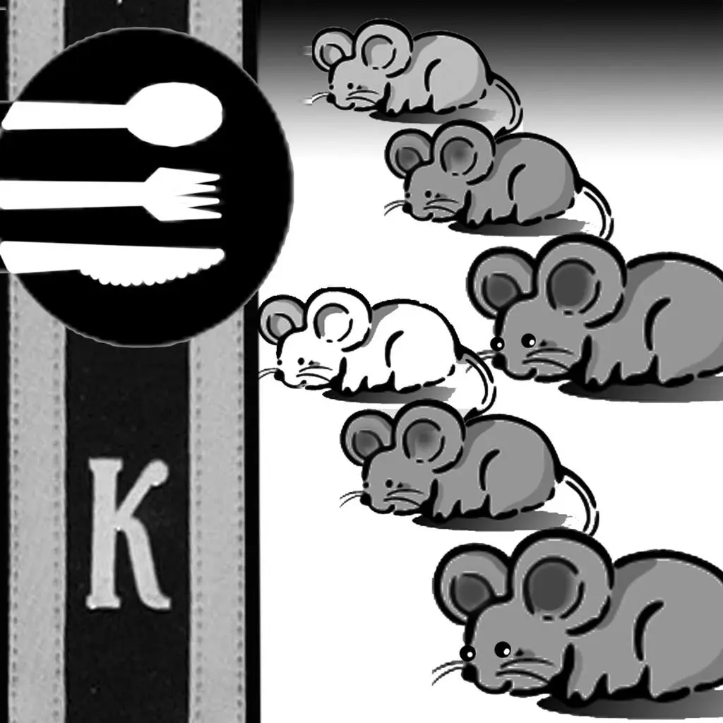 Совместная мужская жизнь в казарме быстро выявила особенности характера - фото 5