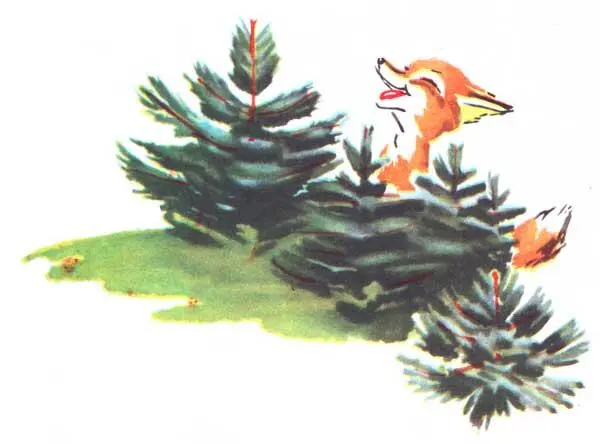 Лесные животные удивлённо смотрели на лисёнка который подпрыгивая спускался - фото 6