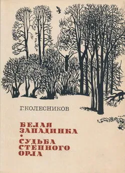 Гавриил Колесников - Белая западинка. Судьба степного орла