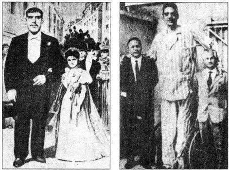 Роберт Вадлоу Роберт родился 22 февраля 1918 года в Алтоне штата Иллинойс В - фото 21
