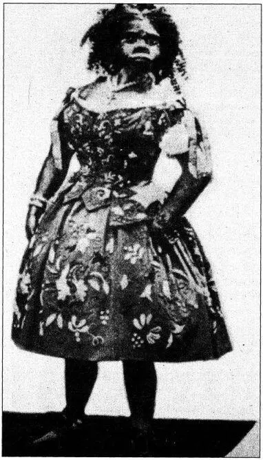 Лент умер в 1884 году Зенора вскоре вышла замуж повторно осела в Дрежне и - фото 82