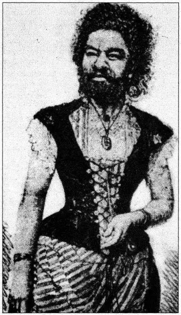 Лент умер в 1884 году Зенора вскоре вышла замуж повторно осела в Дрежне и - фото 83