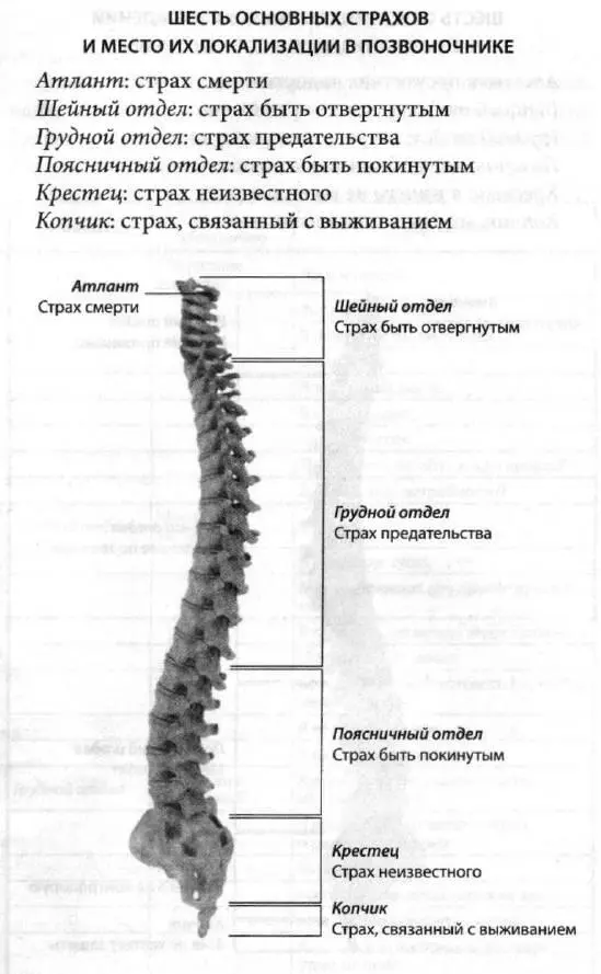 ВЕРОВАНИЯ И ИХ СВЯЗЬ С ГЛУБИННЫМИ УБЕЖДЕНИЯМИ Это неполный список верований - фото 5