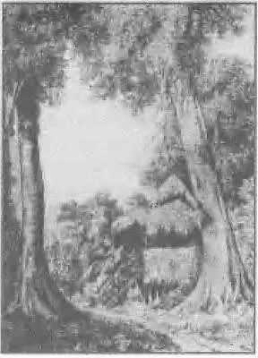 Хижина НН МиклухоМаклая в Новой Гвинее Внутренний вид хижины В 1882 - фото 65