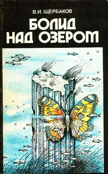 Владимир Щербаков - Болид над озером