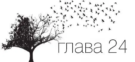 Зимородок Полет в Париж длился целую вечность А поезд до Блуа тащился - фото 44