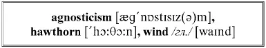 The priest shook his head whether in dissent or agnosticism but remained - фото 211