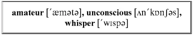 The priest had only watched for a few more minutes the absurd but not inelegant - фото 68