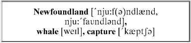 That summer they went north as far as the Newfoundland Banks and harried the - фото 383