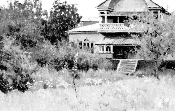 АС Степанов Усадьба летом 1882 год На мызе все оставалось так как - фото 104