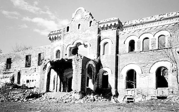 Торосово Руины усадебного дома барона Врангеля Фото автора 2004 год - фото 96