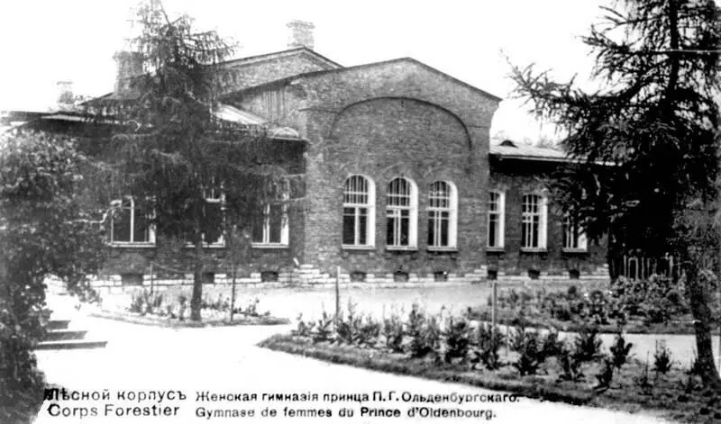 Перед революцией в помещении приюта принца ПГ Ольденбургского размещалась - фото 62