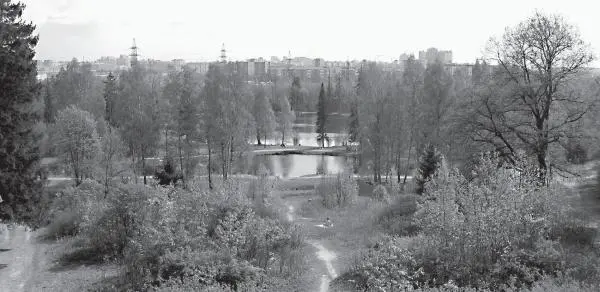 Вид с горы Парнас на Шуваловский парк и новостройки севера Петербурга Фото - фото 184