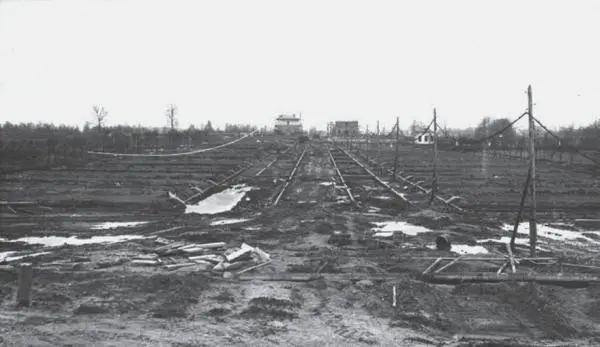 Создание мемориального комплекса на Пискаревском кладбище Фото конца 1950х - фото 197
