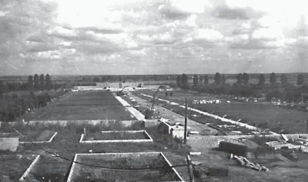Создание мемориального комплекса на Пискаревском кладбище Фото конца 1950х - фото 198