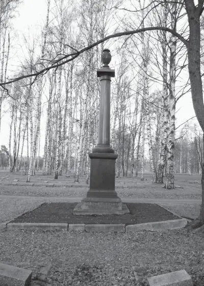 Памятник воинам погибшим во время Советскофинляндской войны 1939 1940 гг - фото 199