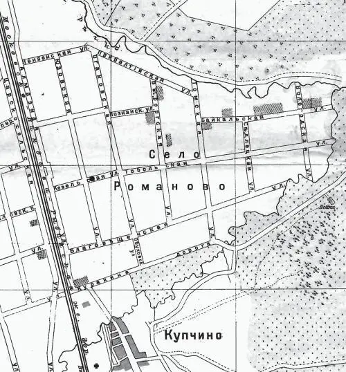 Село Романово на карте Петербурга 1916 г Очевидно полноценными улицами они - фото 238