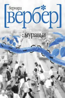 Бернард Вербер - Муравьи