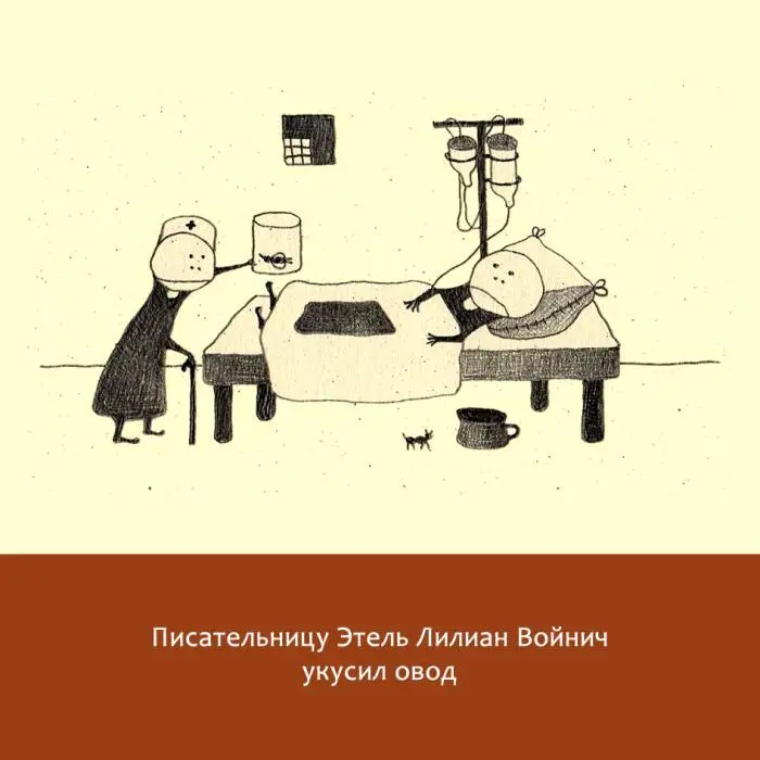 Жизнь замечательных литераторов Веселые истории в картинках про серьезных писателей - фото 43