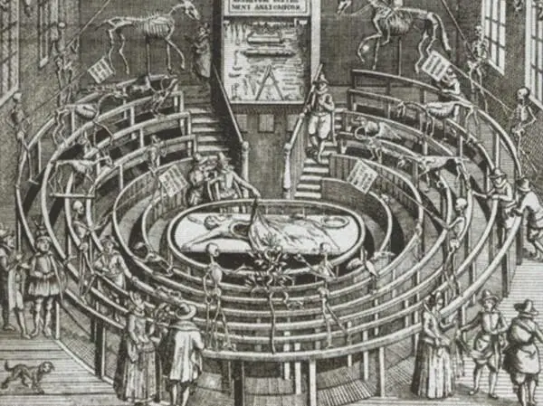 Анатомический театр в Лейденском университете Гравюра начала XVII в Урок - фото 35