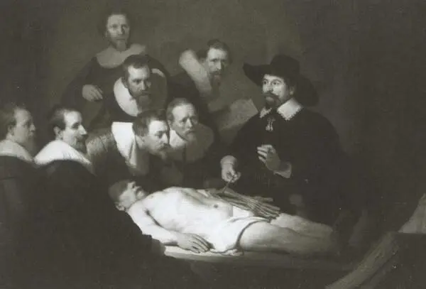 Урок анатомии доктора Тульпа Р ван Рейн 1632 г Экскурсия студентов к - фото 36
