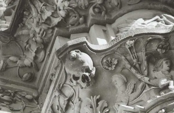 Студента разглядевшего лягушку на черепе на резном портале университета - фото 47