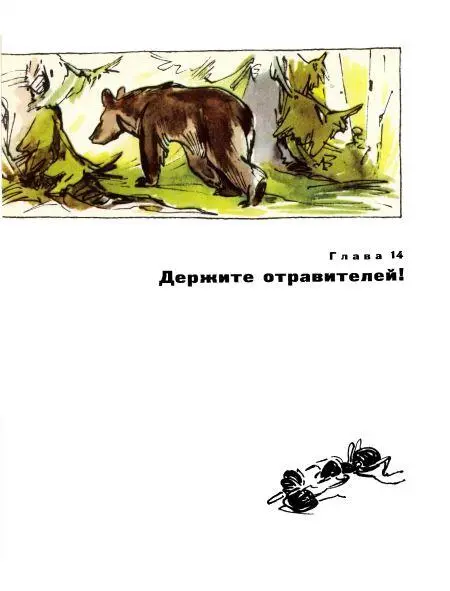 Отойдя от реки Колька наткнулся в густом ельнике на разрытый муравейник - фото 90