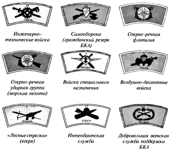 Добровольный юношеский корпус Союза белорусской молодежи под шефством БКА - фото 22