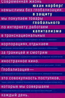 Юхан Норберг - В защиту глобального капитализма