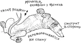 Подавленная Собака угнетена Какова бы ни была ситуация она тяжела для вашей - фото 28