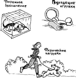 Способы борьбы с собакой которая грызет вещи В период когда у Рича режутся - фото 99