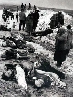 Зверства фашизма на русской земле Части 4й армии вступившие в Тихвин - фото 94