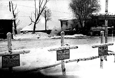 Одно из многочисленных немецких кладбищ Московская область 1941 г Утро 14 - фото 150