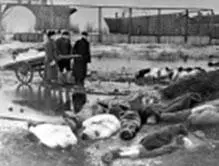 На Волковском кладбище Ленинграда В директиве Ставки ВГК командующему - фото 269