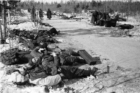 Трупы немецких солдат у дороги зима 1942 г Главная роль в освобождении - фото 78