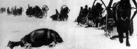 Немецкая транспортная колонна зима 1942 г 15 января В этот день на Руси - фото 102