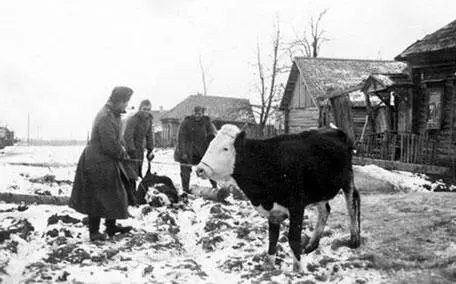 Фашистские мародеры В годы войны Во время войны И В Сталин ослабляет - фото 117
