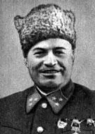 Фёдор Яковлевич Костенко Родион Яковлевич Малиновский 18 января По - фото 141