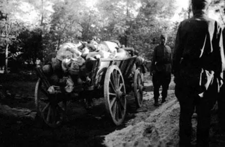 Тела умерших от голода и лишений советских военнопленных в лагере временного - фото 420
