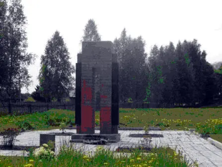 Память сердца Петропавловское кладбище Бельский район Каждый год в районе - фото 128