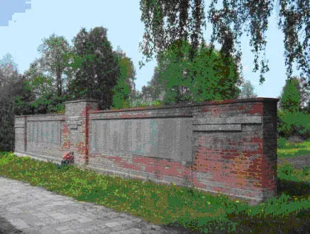 Память сердца Петропавловское кладбище Бельский район Каждый год в районе - фото 129