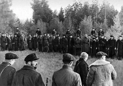 Развертывание партизанского движения Военные действия на других театрах - фото 187