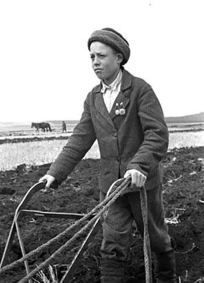 14летний пахарь колхоза им Коминтерна Илья Дружков 1942 г Из архивных - фото 352
