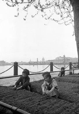 Дети у грядок на набережной в Ленинграде 1942й год Ленинградки обрабатывают - фото 365