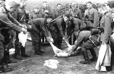 Фото на память Из жизни солдат нового порядка 332й день войны - фото 183
